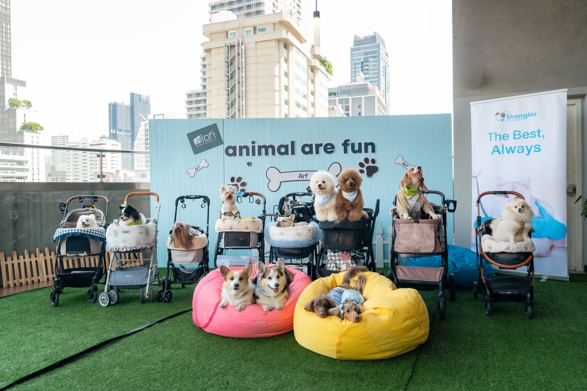 Animal Are Fun at Aloft Bangkok! ชวนคนรักน้องหมาอิ่มอร่อยกับ Sunday Brunch & Bark ใจกลางสุขุมวิท พร้อมบุฟเฟต์สำหรับเพื่อนซี้สี่ขา ณ ห้องอาหารเครฟ โรงแรม อลอฟท์ กรุงเทพ สุขุมวิท 11